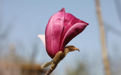 ӢQȾҕܓp,ӢȺwָʲô